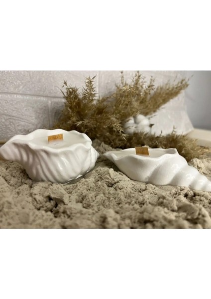 Mevlüt Pinterest Deniz Kabuğu Mum ( 2'li ) fiyatları