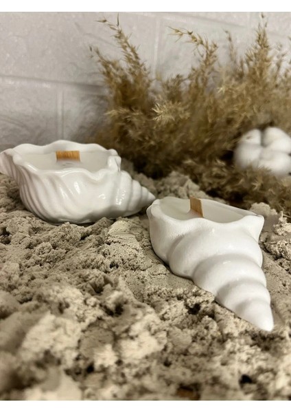 Mevlüt Pinterest Deniz Kabuğu Mum ( 2'li ) modelleri