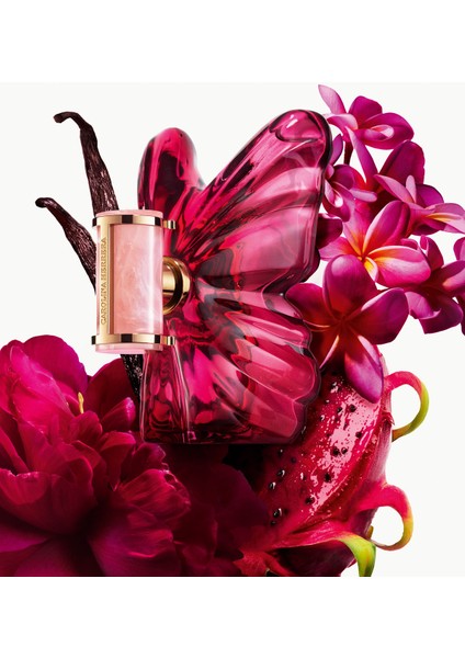 La Bomba Edp 80 ml Kadın Parfüm modelleri