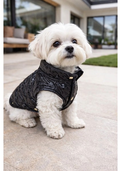 Köpek Kıyafet fiyatları