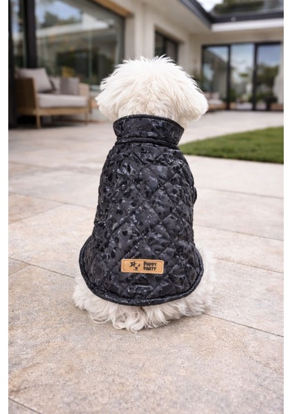 Köpek Kıyafet modelleri