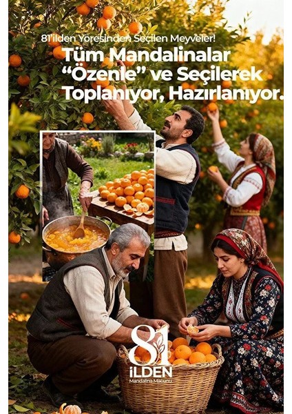 Bodrum Mandalina Macunu 240 Gr fırsatları