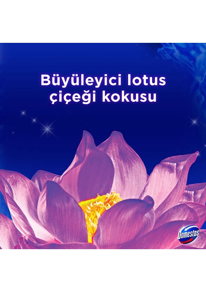 WC Blok Yoğun Parfümlü Lotus Çiçeği 2x50g modelleri