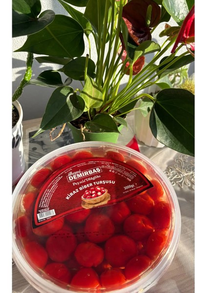 Peynir Dolgulu Kiraz Biber 3000GR fiyatları
