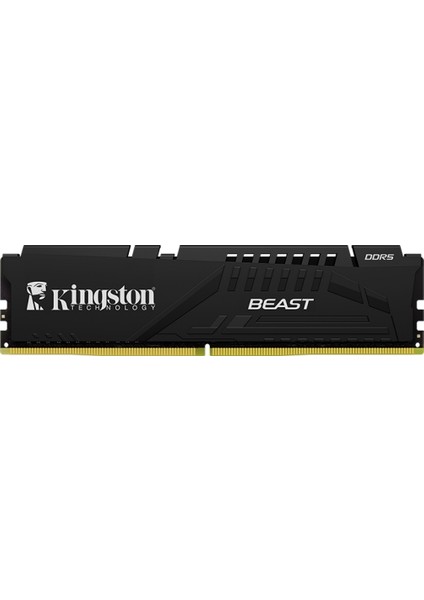 Kingston KF560C36BBE2