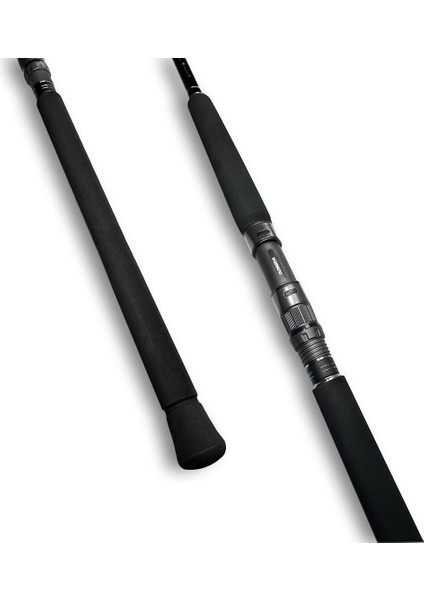 Currentsniper Bb Shore Jigging 290CM 65G JIG80G 2pc modelleri