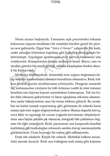 Dolunay Kafe