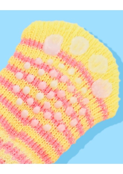 Stripe Socks Köpekler Için Çorap fiyatları