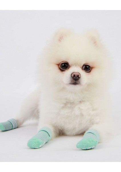 Stripe Socks Köpekler Için Çorap fırsatları