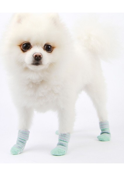 Stripe Socks Köpekler Için Çorap indirimleri
