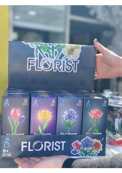 Plant Series Çiçek Yapı Seti Serisi 7X16 cm Kutuda modelleri