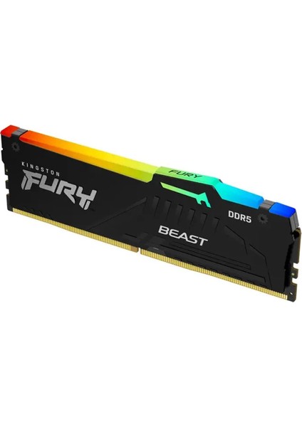 Kingston KF556C36BBEA32TR