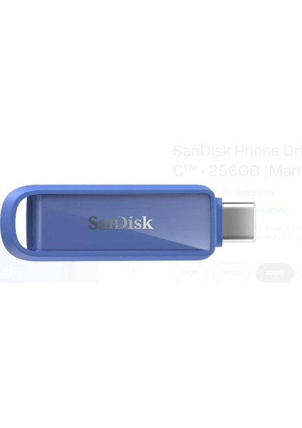 Sandisk SDIXS0N256GGN6ND