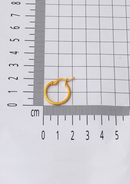 Klasik 22 Ayar 2 cm. Çaplı Halka Altın Küpe modelleri