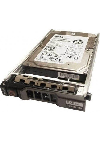 Dell ST9300653SS