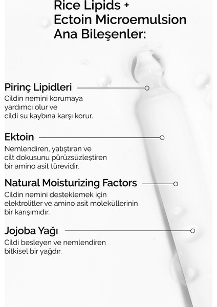 Rice Lipids + Ectoin Microemulsion - Nemlendirici Emülsiyon 120ml indirimleri