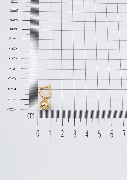 Sallantılı 14 Ayar Altın Top Küpe