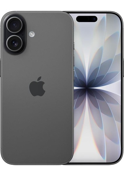 iPhone 17 256 GB Siyah