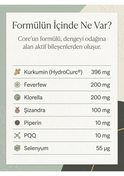 Rook Zlf Core fiyatları
