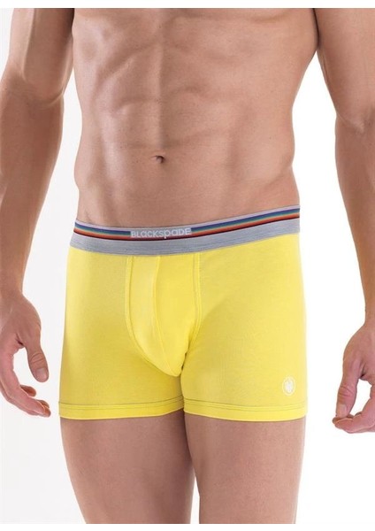 Blackpade Erkek Colour Boxer 9550 fiyatları