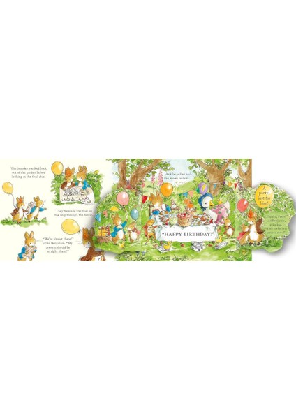 Peter Rabbit The Birthday Present Hunt fiyatları