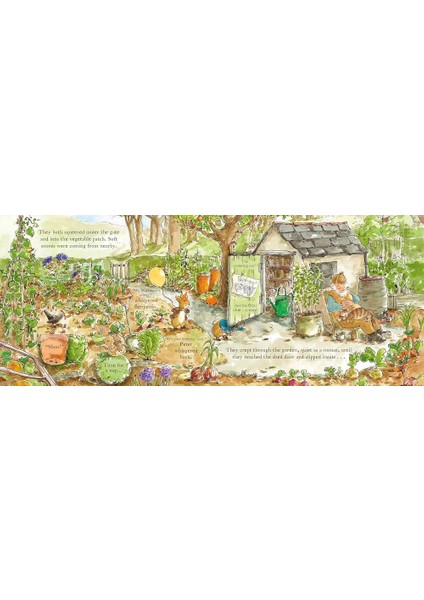 Peter Rabbit The Birthday Present Hunt fırsatları