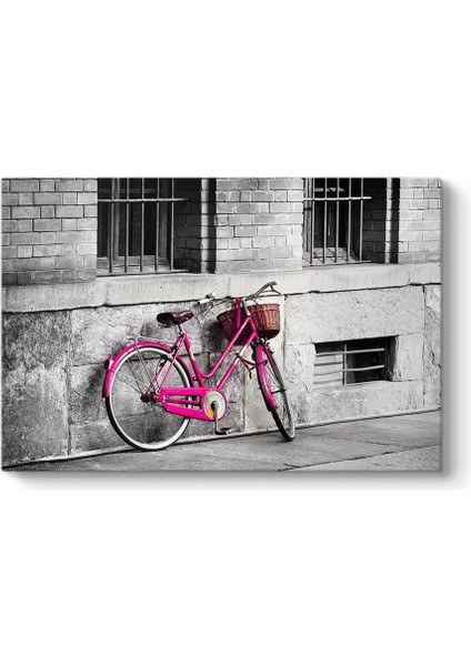 Eski Pembe Bisiklet 45 x 30 fiyatları
