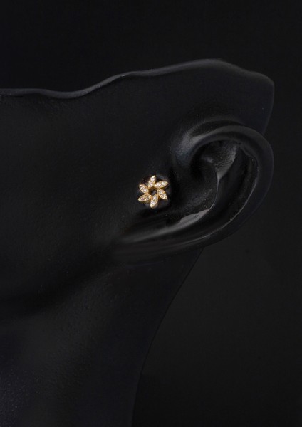14 Ayar Altın Piercing Tragus Küpe fiyatları