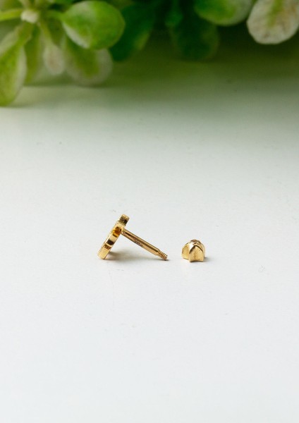 14 Ayar Altın Piercing Tragus Küpe modelleri