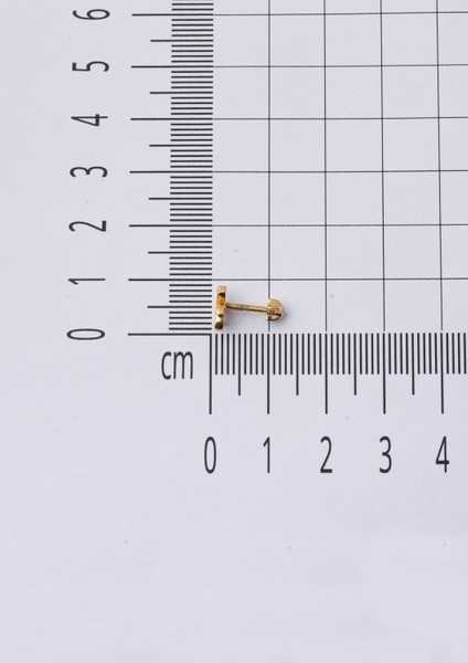 14 Ayar Altın Piercing Tragus Küpe