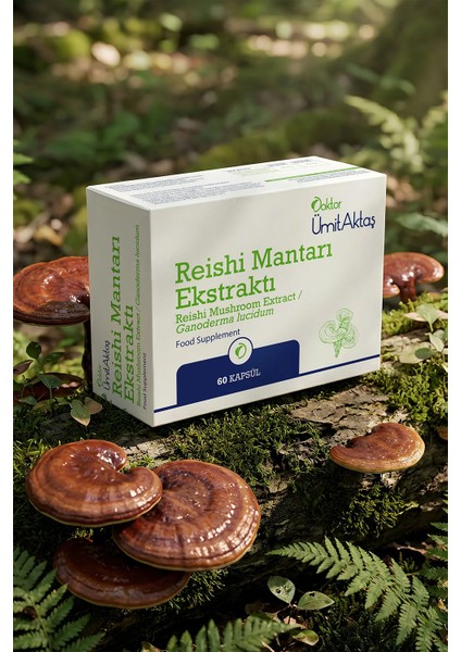 Reishi Mantarı Ekstraktı - 60 Kapsül