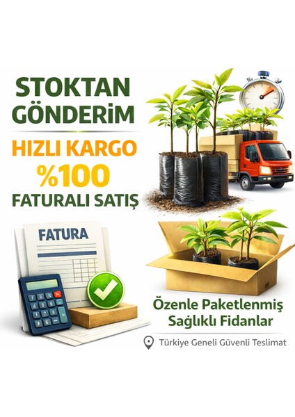 1 Kg Solucan Gübresi, Doğal, Kokusuz fırsatları