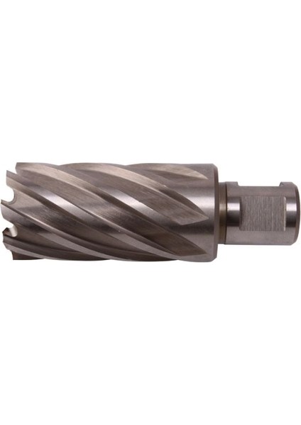 Manyetik Matkap Ucu Hss 39X30.MM fiyatları