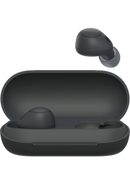 Sony WFC700N