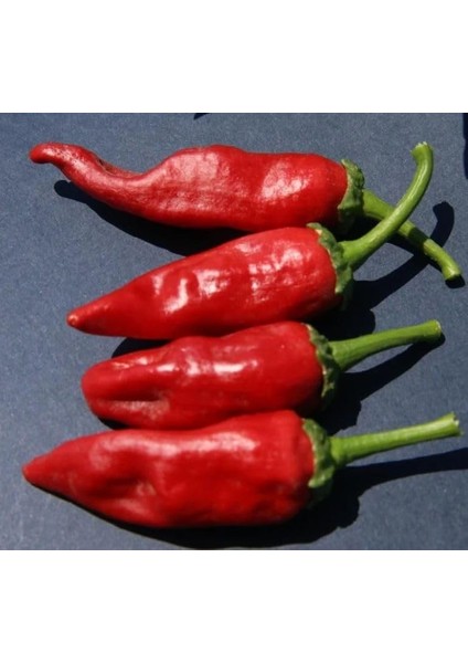 Biber Maraş (Çoklu Tohum) - 5 Gram fiyatları