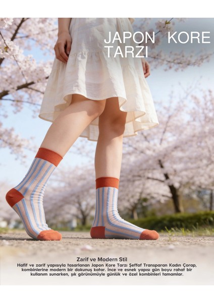 Kadın Japon Kore Tarzı Transparan Çorap Mavi Çizgili modelleri