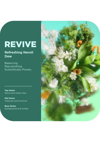 Revive Seyahat Boyu Body Scrub 56GR modelleri