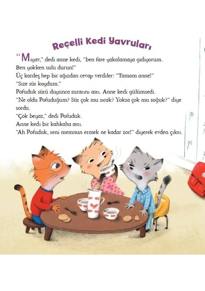 Yavru Kedi Öyküleri fiyatları