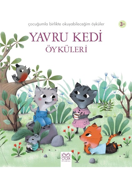 Yavru Kedi Öyküleri modelleri