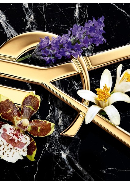 Yves Saint Libre Edp 90 ml Kadın modelleri
