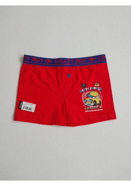 Erkek Çocuk Elastan Baskılı Boxer 6'lı Paket modelleri