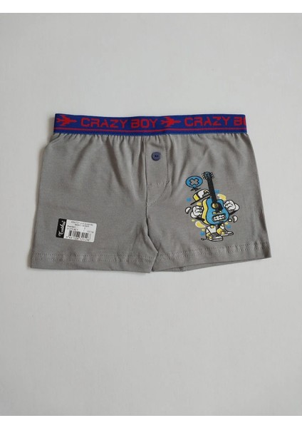 Erkek Çocuk Elastan Baskılı Boxer 6'lı Paket
