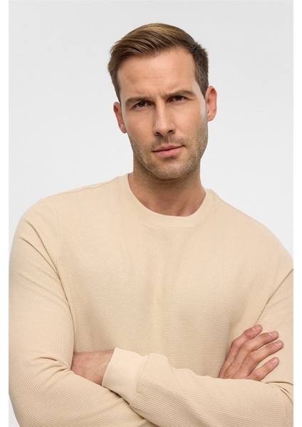 Bej Regular Bisiklet Yaka Sweatshirt modelleri