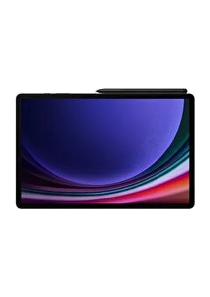 Galaxy Tab S9 12 GB Ram 256 GB Gray fiyatları