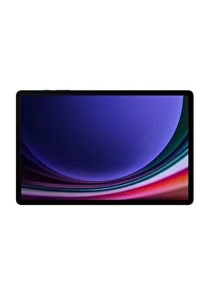 Galaxy Tab S9 12 GB Ram 256 GB Gray fırsatları