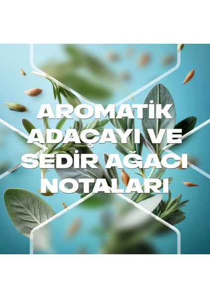 Apollo Erkek Deodorant & Bodyspray 48 Saat Ferahlık 150 ml fırsatları