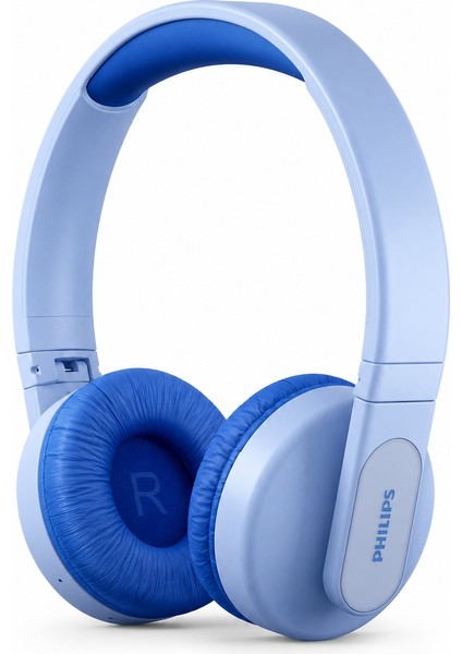 Philips TAK4206BL00