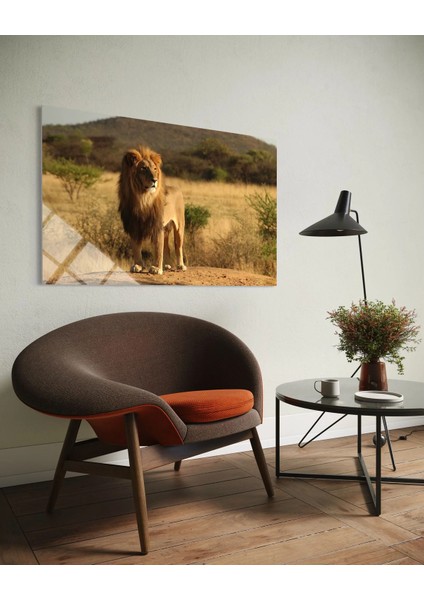 Aslan Cam Tablo 137 fiyatları