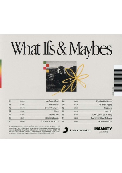 Tom Grennan - What Ifs & Maybes - 1 Cd( Plak Değildir.) fiyatları