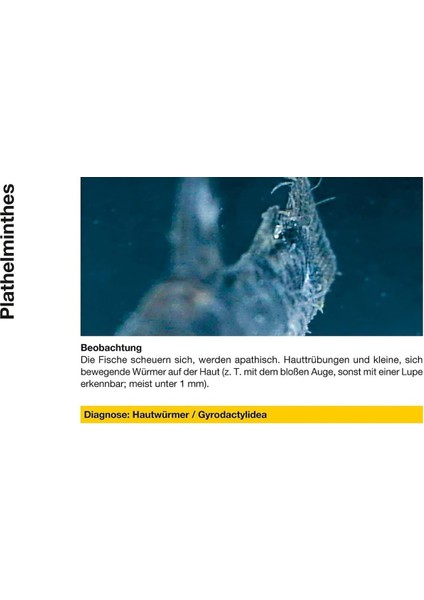 Sera Mycopur Mantar Giderici 50 ml indirimleri